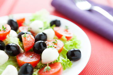 Nutritious salad with fresh tomatoes and mozzarella