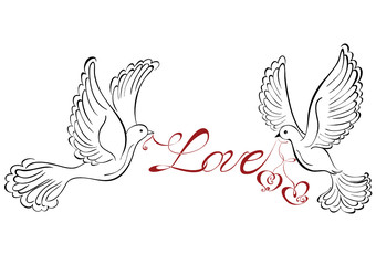 Fototapeta na wymiar Dwie miłości ptaków o kształcie serca