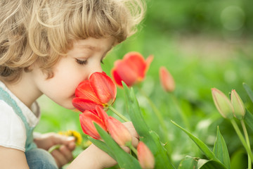 Child smelling tulip - obrazy, fototapety, plakaty