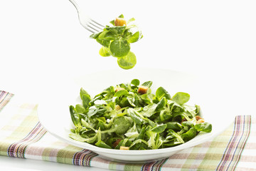 Feldsalat