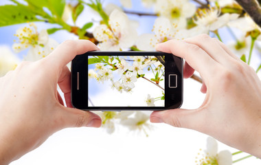 Mobile phone photography
