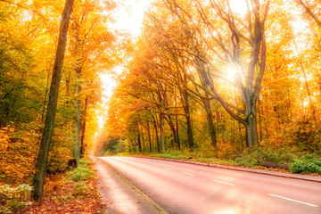 herbststraße