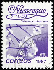 Naklejka premium Postage stamp Nicaragua 1987 Tabebula Ochracea, Flower, Tree