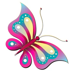 Photo sur Plexiglas Papillon papillon, vecteur de papillons