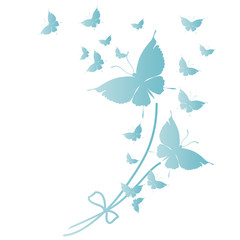 butterfly,butterflies