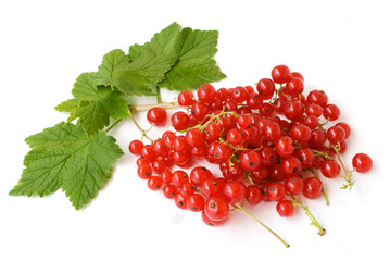 redcurrant