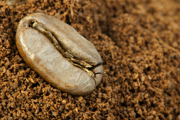 Coffee beans and ground coffee