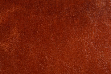 Fototapeta premium Background with texture of leather