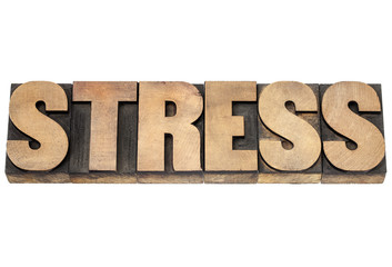 stress word in wood type