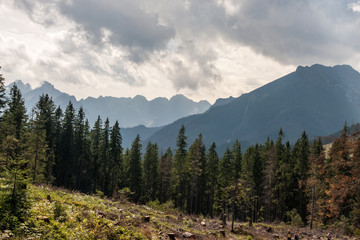 Tatry mountains © Wolszczak