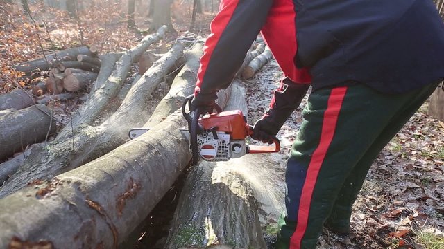 Kettens&auml;genschnitt mit bewegter Kamera