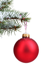 Obraz na płótnie Canvas Christmas ball on the tree isolated on white