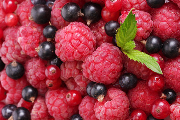 ripe berries with mint, close up.