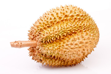 Durian tropical fruit of  thailand in isolated