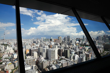 文京シビックセンターからの眺め