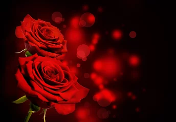 Foto op Plexiglas Red roses Valentine background © gtranquillity