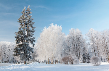 Urban winter landscape. Yaroslavl, Russia
