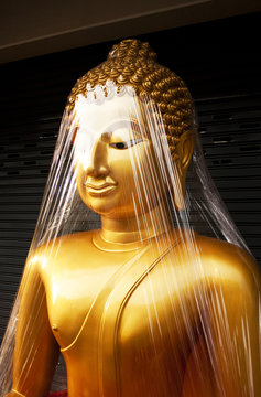 Buddha Image of Thailand