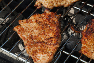 barbecue with delicious grilled meat on grill