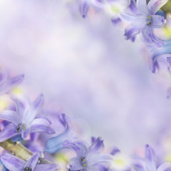 Fototapeta na wymiar piękne kwiaty wykonane z kolorowych filtrów