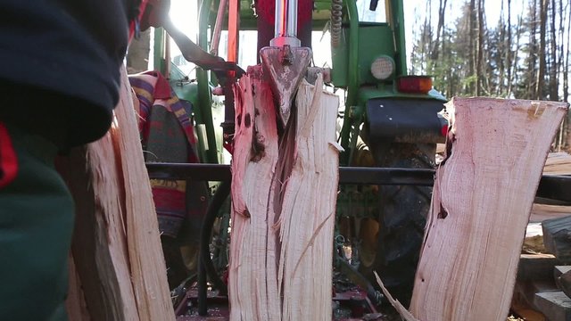 Buchenholz -Spaltung