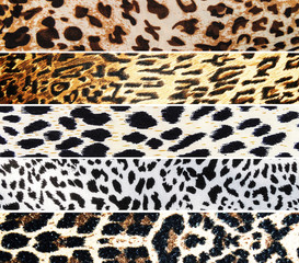 Set of Leopard textures
