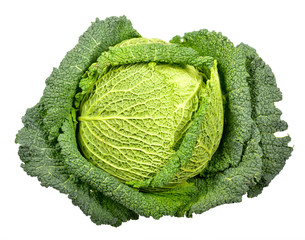 Savoy cabbage