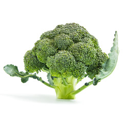 Broccoli vegetable isolated on white background