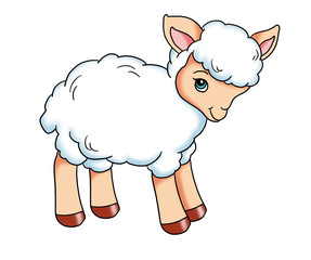agnello