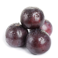 Plum fruit with dew