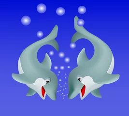 Foto op Plexiglas dolfijn liefde © geocislariu