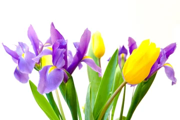 Papier Peint photo autocollant Iris Tulipes printanières fraîches et fleurs d& 39 iris isolées sur fond blanc