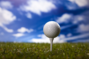  Golf club and ball in grass 