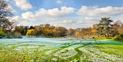The first snow in the autumn park. Panorama.