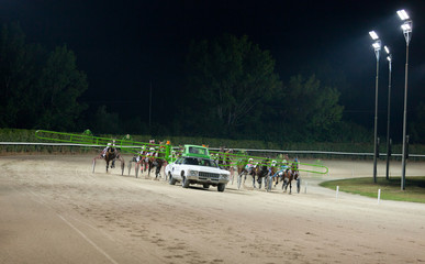 Training trotters race in hippodrome
