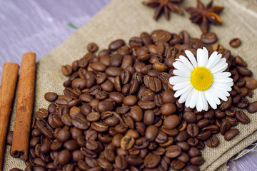 coffee beans with chamomile