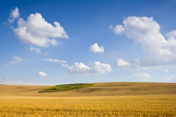 Poster Polish countryside landscape © dziewul