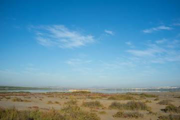 Torrevieja wetlands