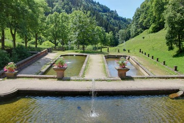jardin en foret noire