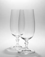 dual wine glass