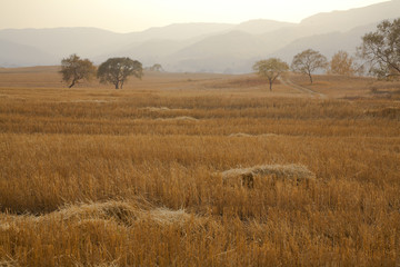 Fototapeta premium After harvest, the fall of farmland