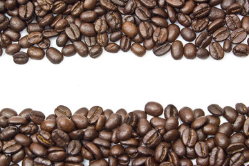 coffee beans stripes isolated in white background, with copyspac
