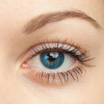 Eye macro. Woman eye. Macro image of human eye.