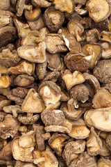 dry shitake mushroom