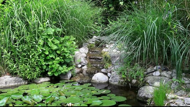 petite cascade sur bassin aquatique