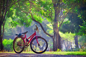 Bicycle in the Park