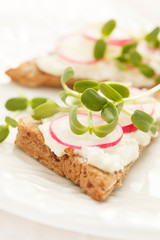 sandwiches with radish and sunflower sprouts