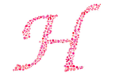 H Alphabet/Composed with Rose Leaves/Isolated on White