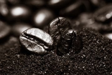 Coffee beans on grunge wooden background