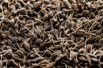 Dried herbs in macro